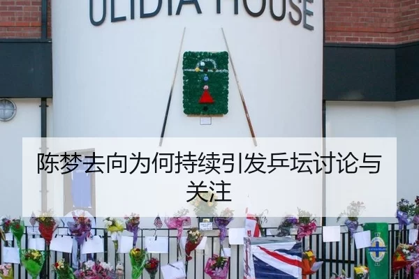 陈梦去向为何持续引发乒坛讨论与关注